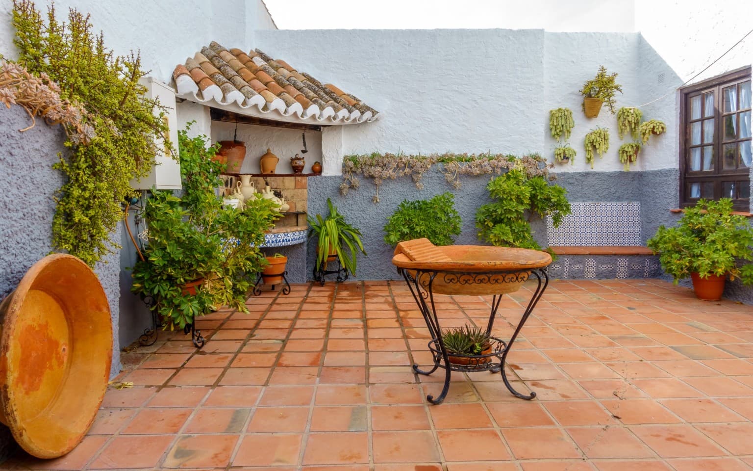 Authentic whitewashed interior courtyard filled with potted plants.