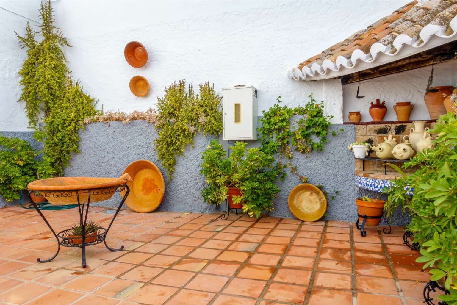 A lush, green corner of the patio providing shade.